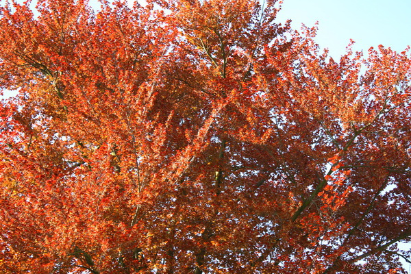 Galerie: 79 - Bild: 65
